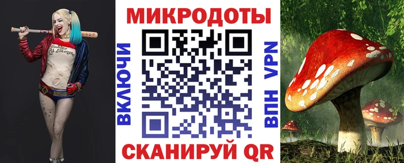 Купить  Снежинск  Галлюциногенные грибы Psilocybe 